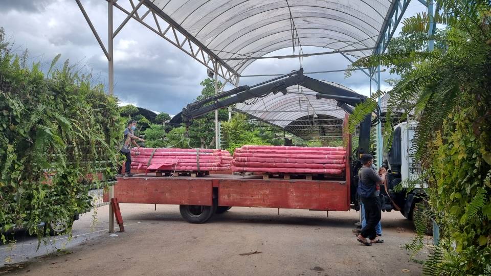 微信图片_202107201028051