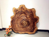 Zebra Wood Slab-WD7569