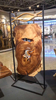 Walnut Table Top-WD8024