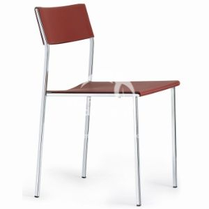 Plastic Chair-WD2016