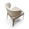 Metal Chair-WD1048