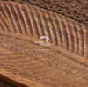 Walnut Wood Slab Cabinet-WD7826