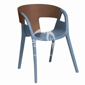 Plastic Chair-WD2029