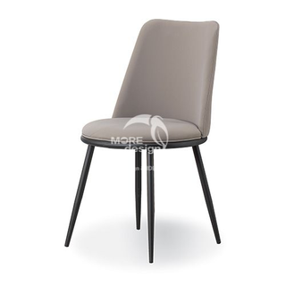 Metal Chair-WD1056