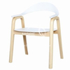 Plastic Chair-WD2041