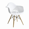 Plastic Chair-WD2002