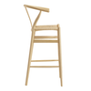 Wood Chair-WD-407135